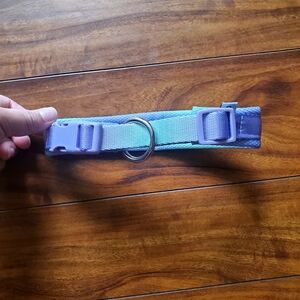 Blue purple Dog collar